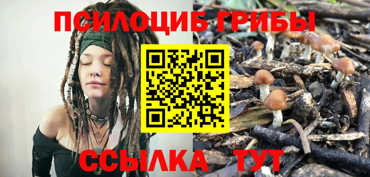 Галлюциногенные грибы GOLDEN TEACHER  Вход с VPN  Аша 
